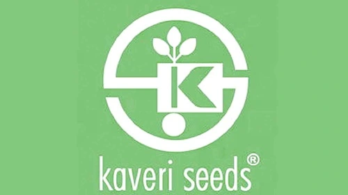 Kaveri Seed