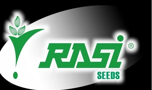 Rasi Seeds