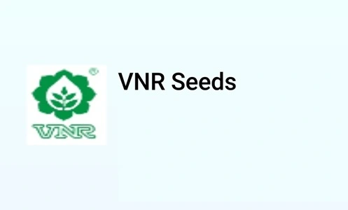 VNR Seeds