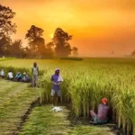 Sustainable Finance in India’s Agriculture Sector