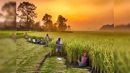 Sustainable Finance in India’s Agriculture Sector